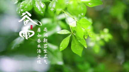 香港六宝典资料大全