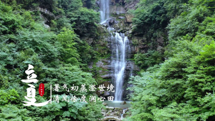 香港六宝典资料大全
